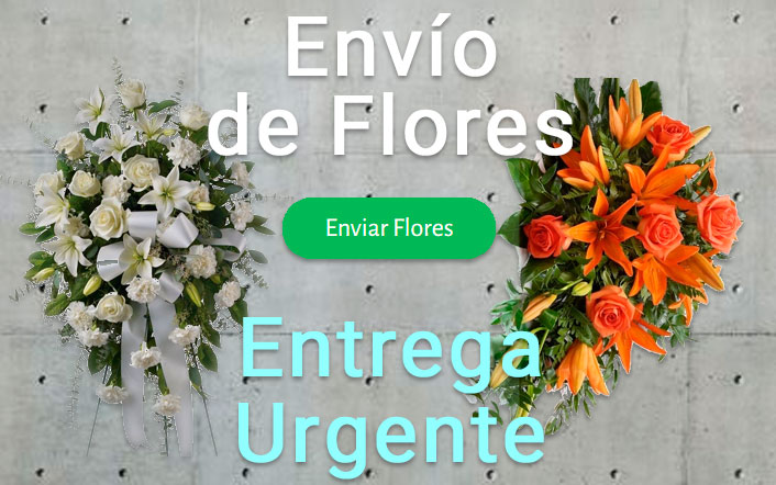 Envio flores difunto urgente a Tanatorio Tarragona